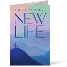 Easter Brings New Life 