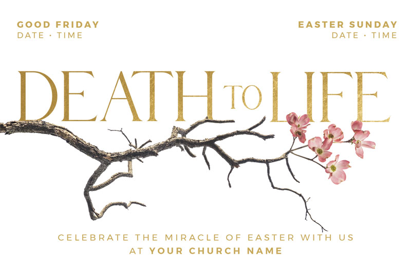 Church Postcards, Easter, Death To Life Blossom, 5.5 X 8.5