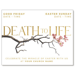 Death To Life Blossom ImpactMailers